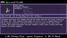 Lizard Knight-1.png